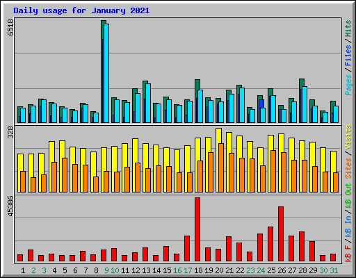 Daily usage for January 2021