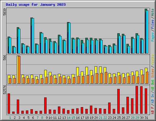 Daily usage for January 2023