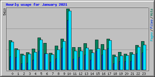 Hourly usage for January 2021