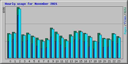 Hourly usage for November 2021