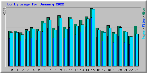 Hourly usage for January 2022