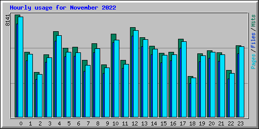 Hourly usage for November 2022