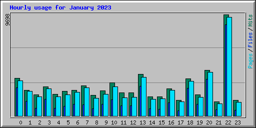 Hourly usage for January 2023