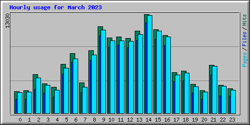 Hourly usage for March 2023