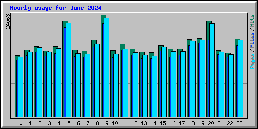 Hourly usage for June 2024