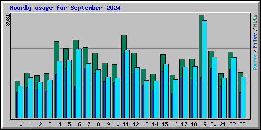 Hourly usage for September 2024