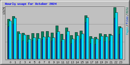 Hourly usage for October 2024