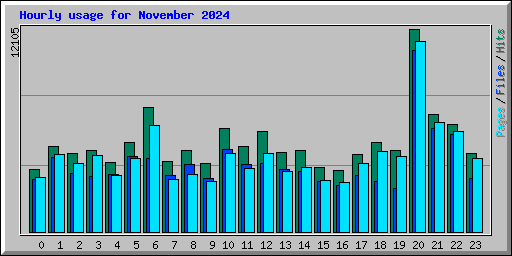 Hourly usage for November 2024