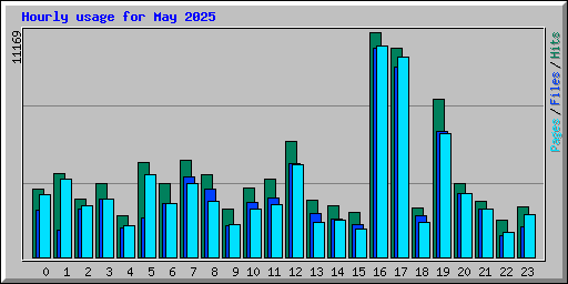 Hourly usage for May 2025
