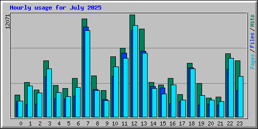 Hourly usage for July 2025