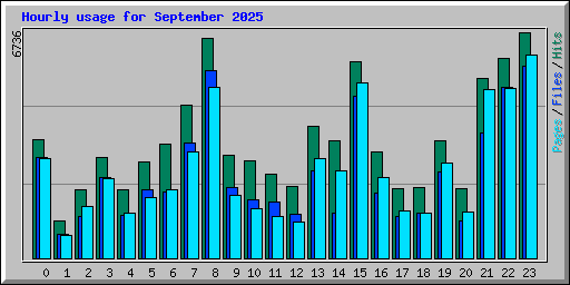 Hourly usage for September 2025