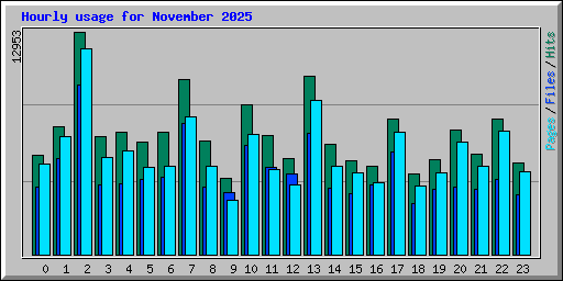 Hourly usage for November 2025