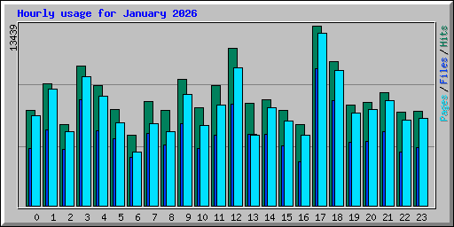 Hourly usage for January 2026