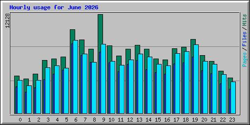 Hourly usage for June 2026